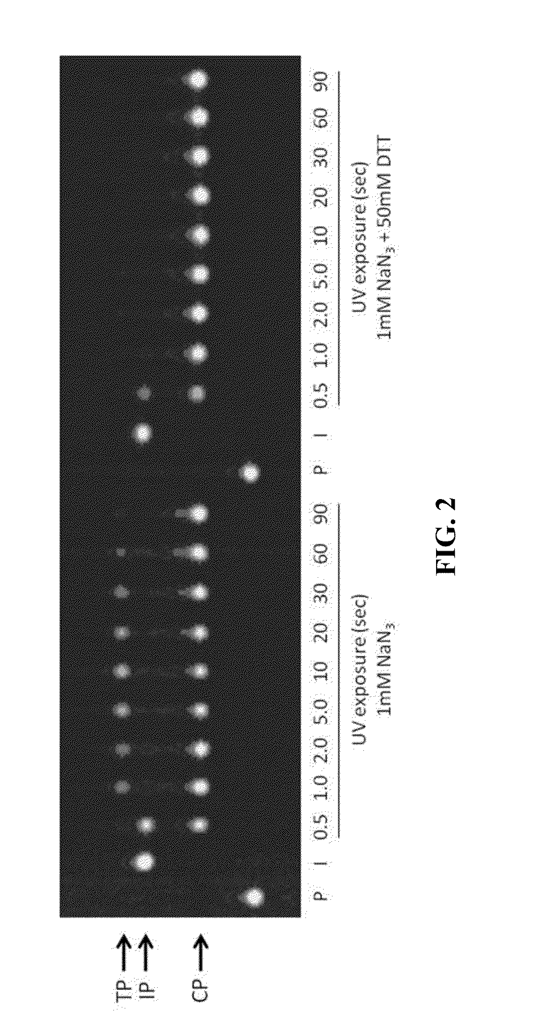 3'-oh unblocked, fast photocleavable terminating nucleotides and methods for nucleic acid sequencing