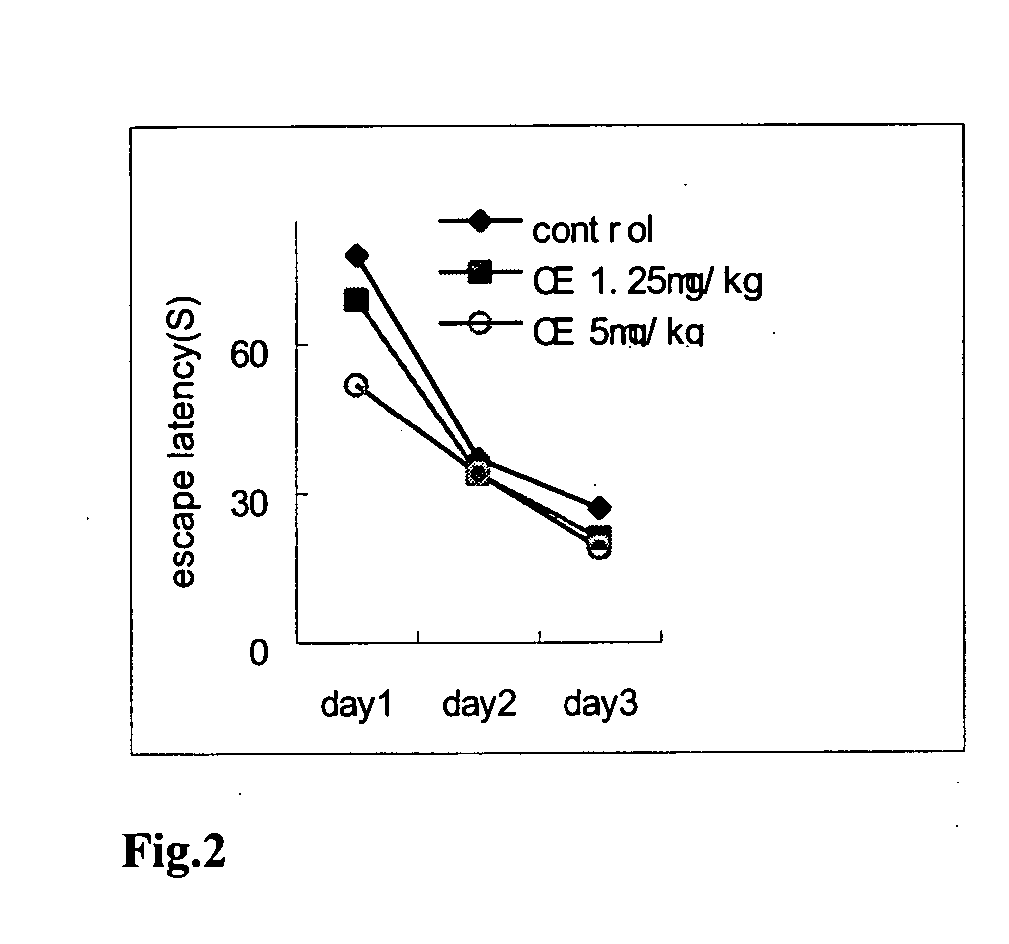 Use of derivatives of succinate esters for the treatment of dementia