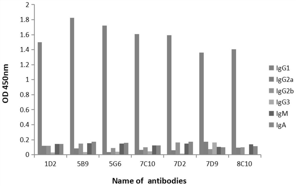 Preparation method and application of NDM-1 monoclonal antibody