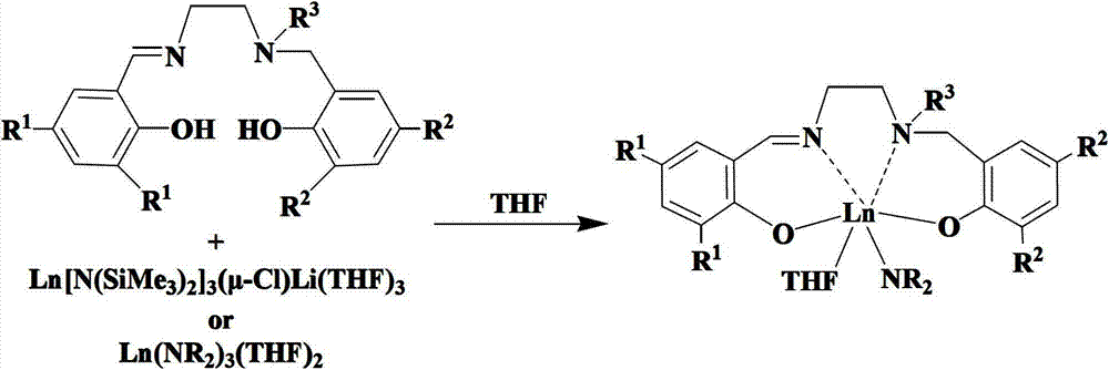 Salalen-type rare-earth metal amide as well as preparation method and application thereof