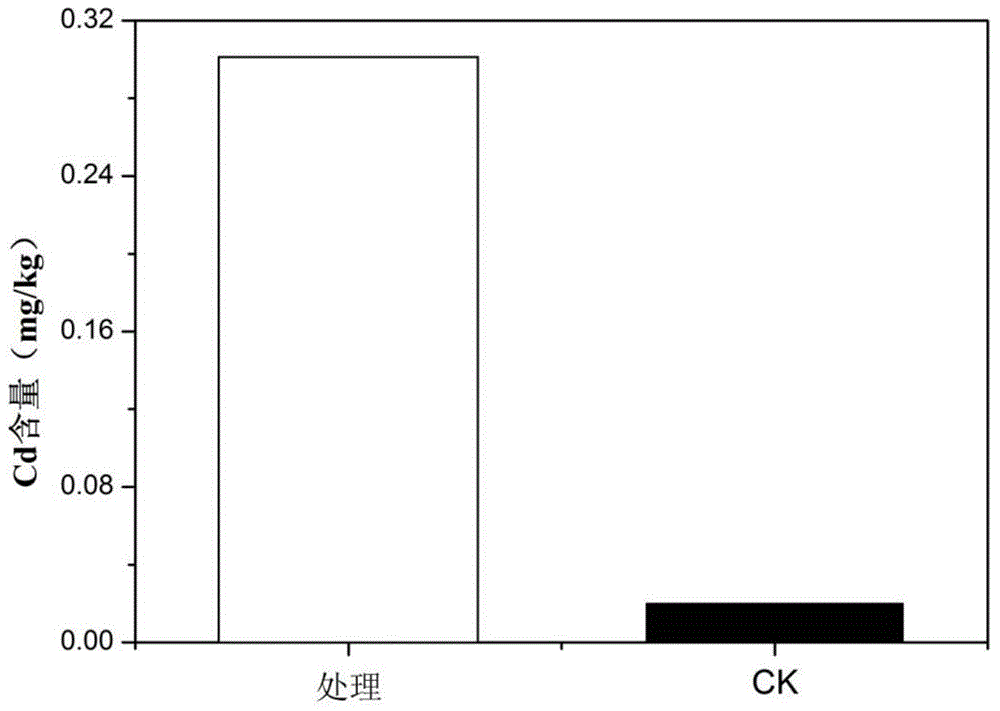 Soil conditioner and preparation method thereof