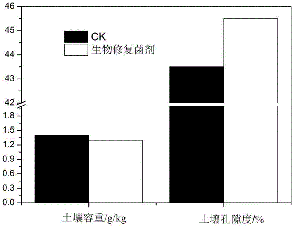 Soil conditioner and preparation method thereof