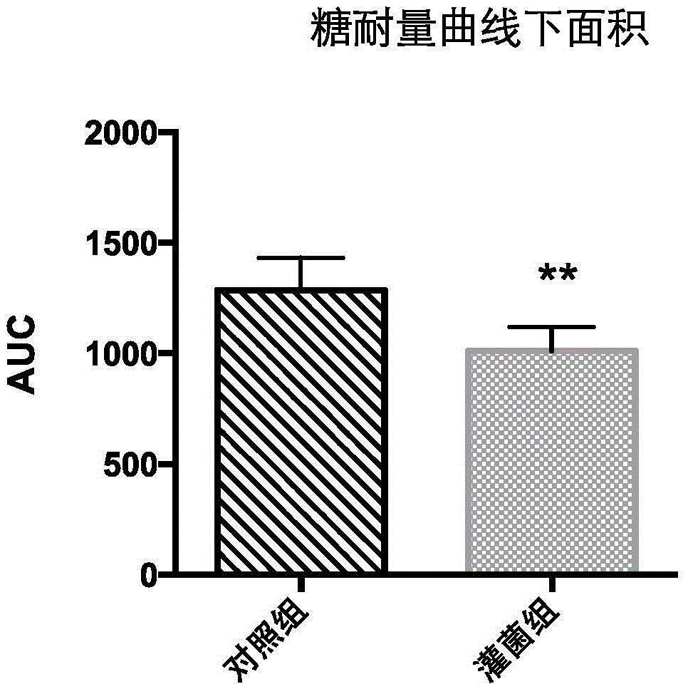 Application of Akkermansia muciniphila BAA-835 strain