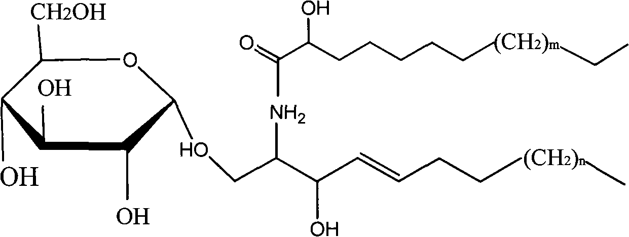 Preparation, purification and content detection methods for cerebroside