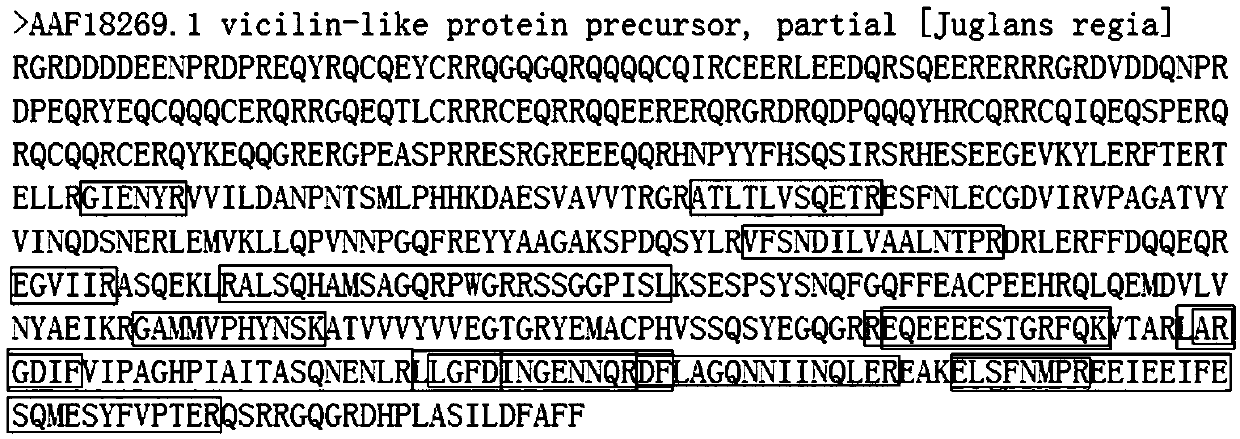 Method for assisting in identifying linear epitope of plant food allergen