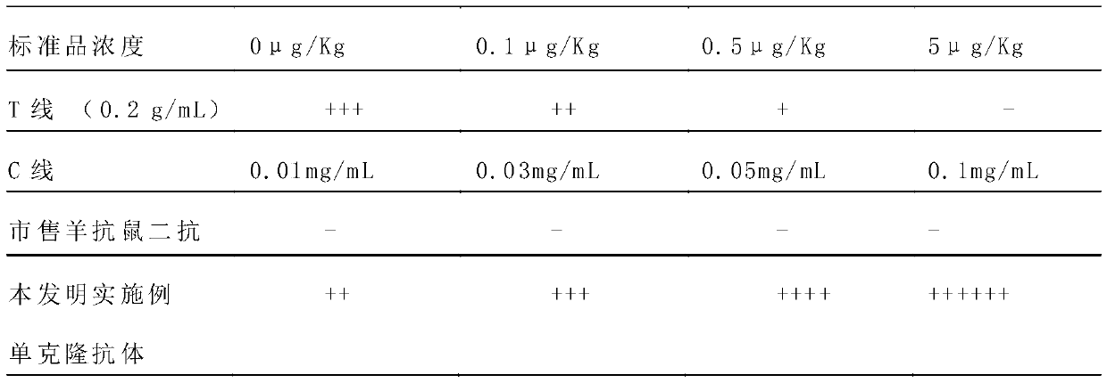 Preparation method of monoclonal antibody for replacing anti-mouse rabbit secondary antibody