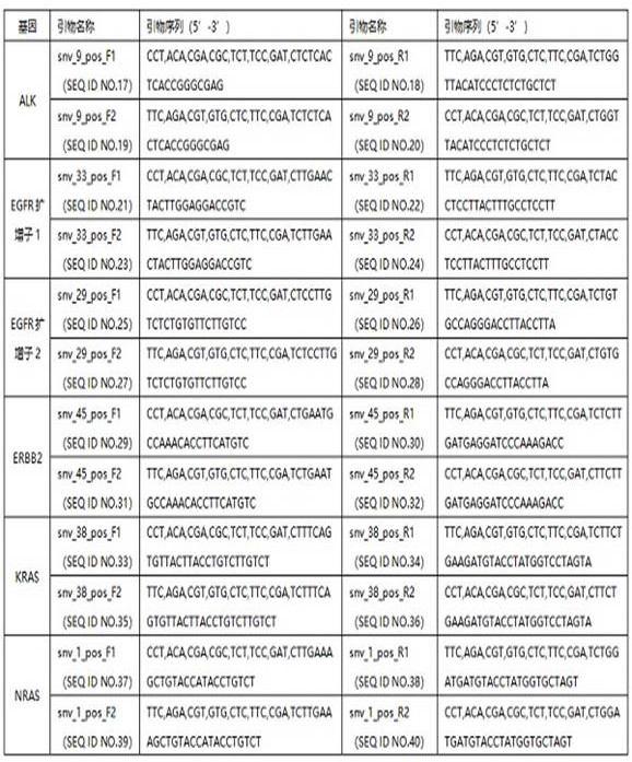 Amplicon library construction primer group suitable for single-ended sequencing and construction method