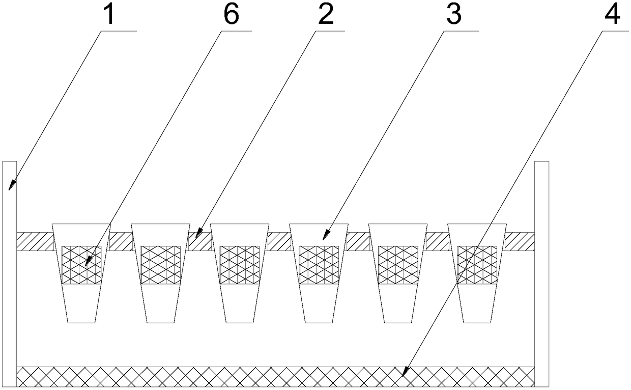 Independent rice-seedling raising device