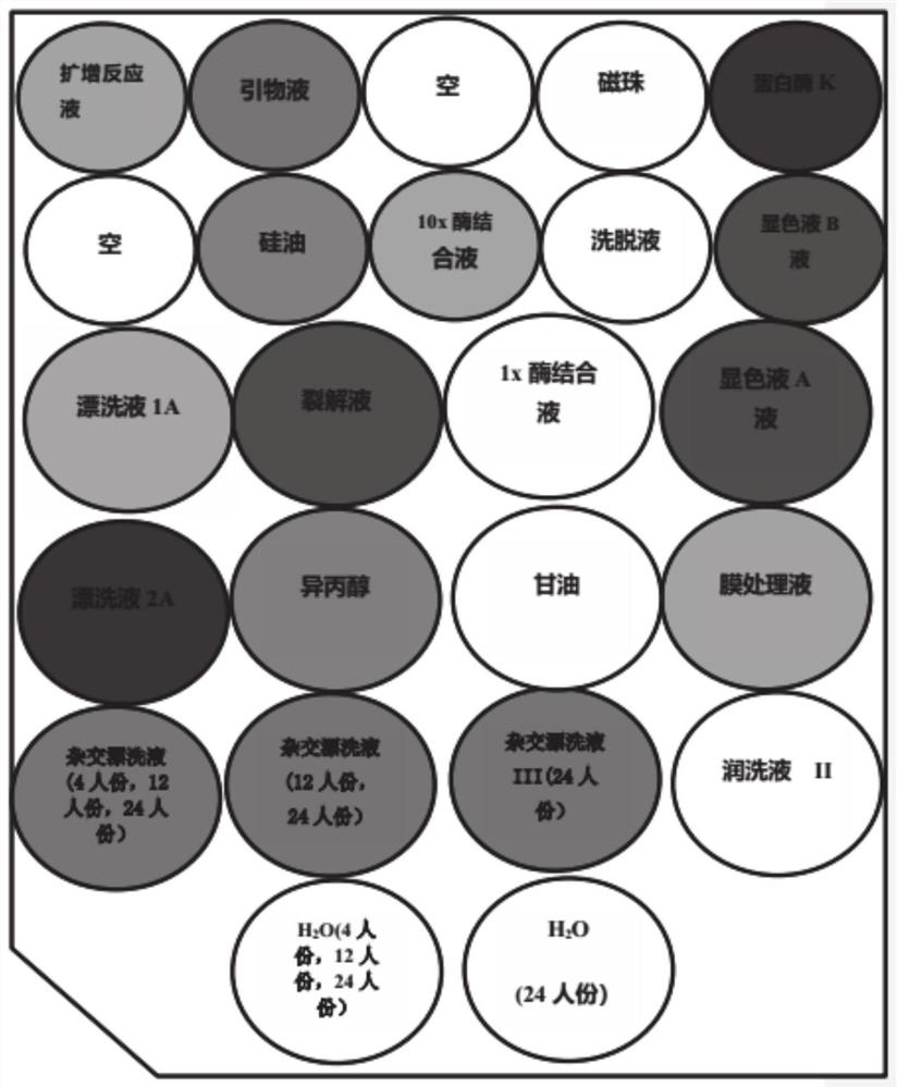 Method and system for detecting brucella based on micro-fluidic chip-PCR (Polymerase Chain Reaction) technology