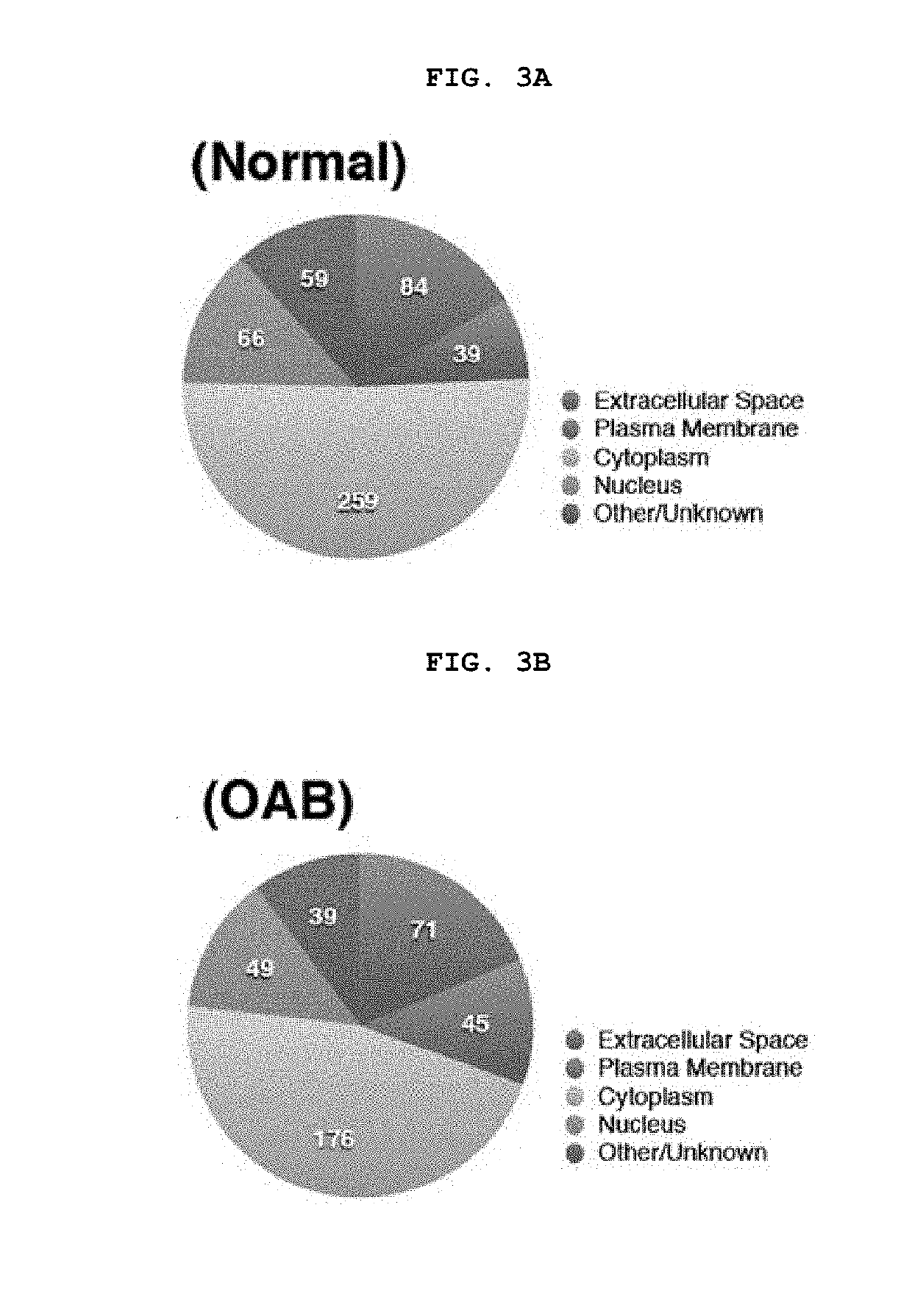 Biomarker for diagnosing overactive bladder disease and screening method of therapeutic agents using the same