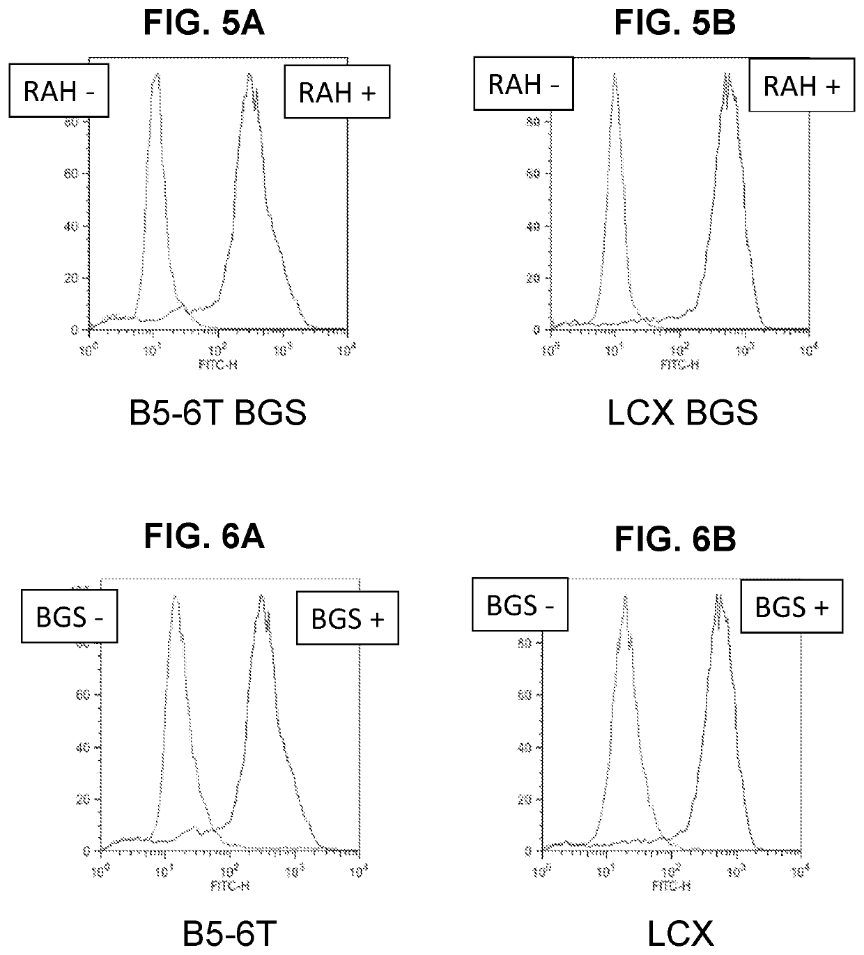 Methods and compositions for inducible extracellular membrane capture of monoclonal immunoglobulins secreted by hybridomas