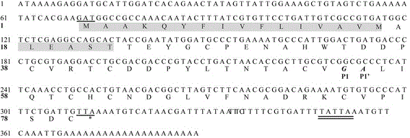 Protease inhibitor BmSPI38 and preparation method and application thereof