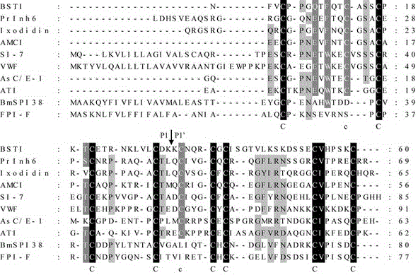 Protease inhibitor BmSPI38 and preparation method and application thereof