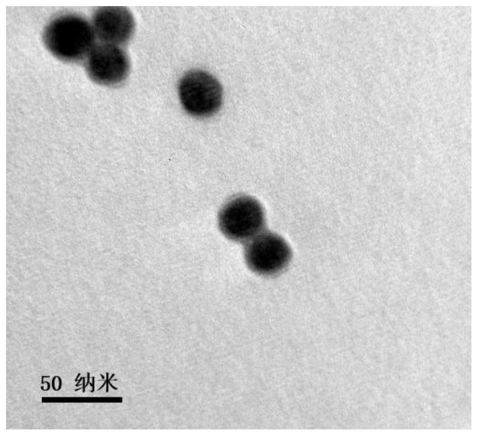 A rare earth up-conversion diagnosis and treatment integrated nanocomposite material, preparation method and application thereof