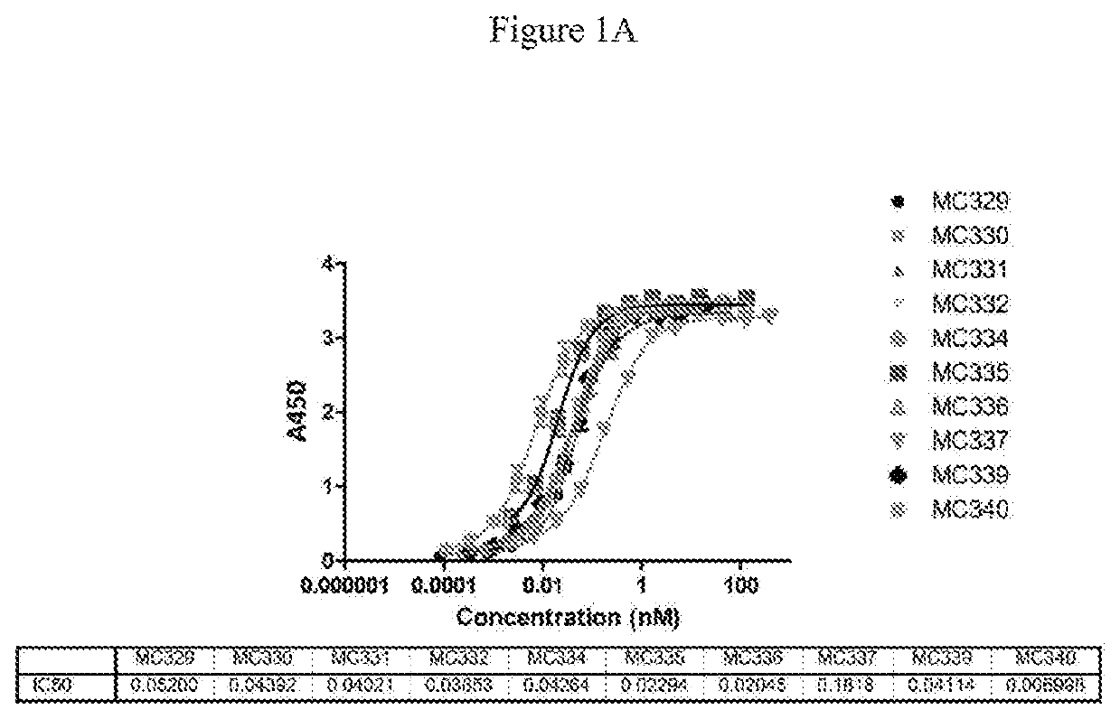 Plazomicin antibodies and methods of use