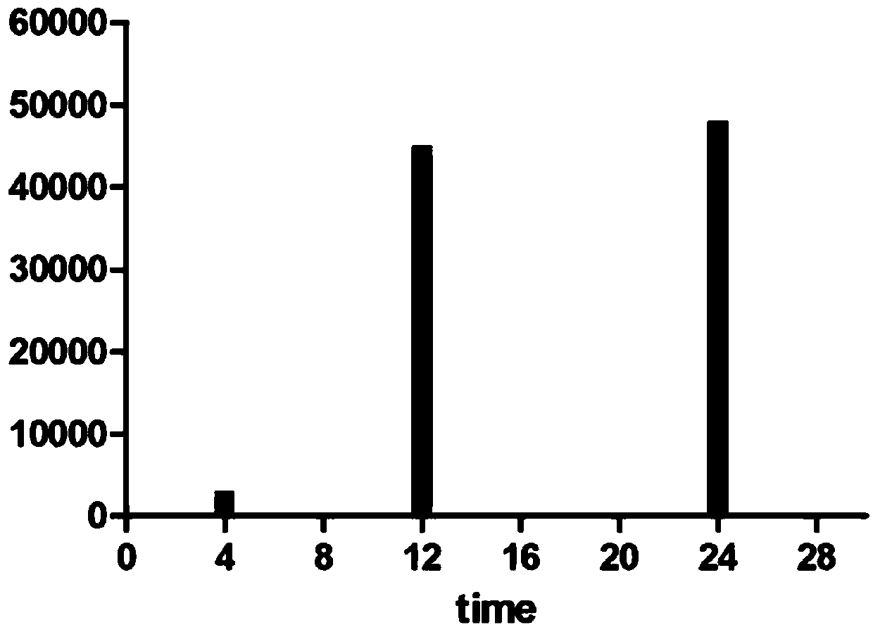 Peptide library penetrating through blood brain barrier and screening method thereof