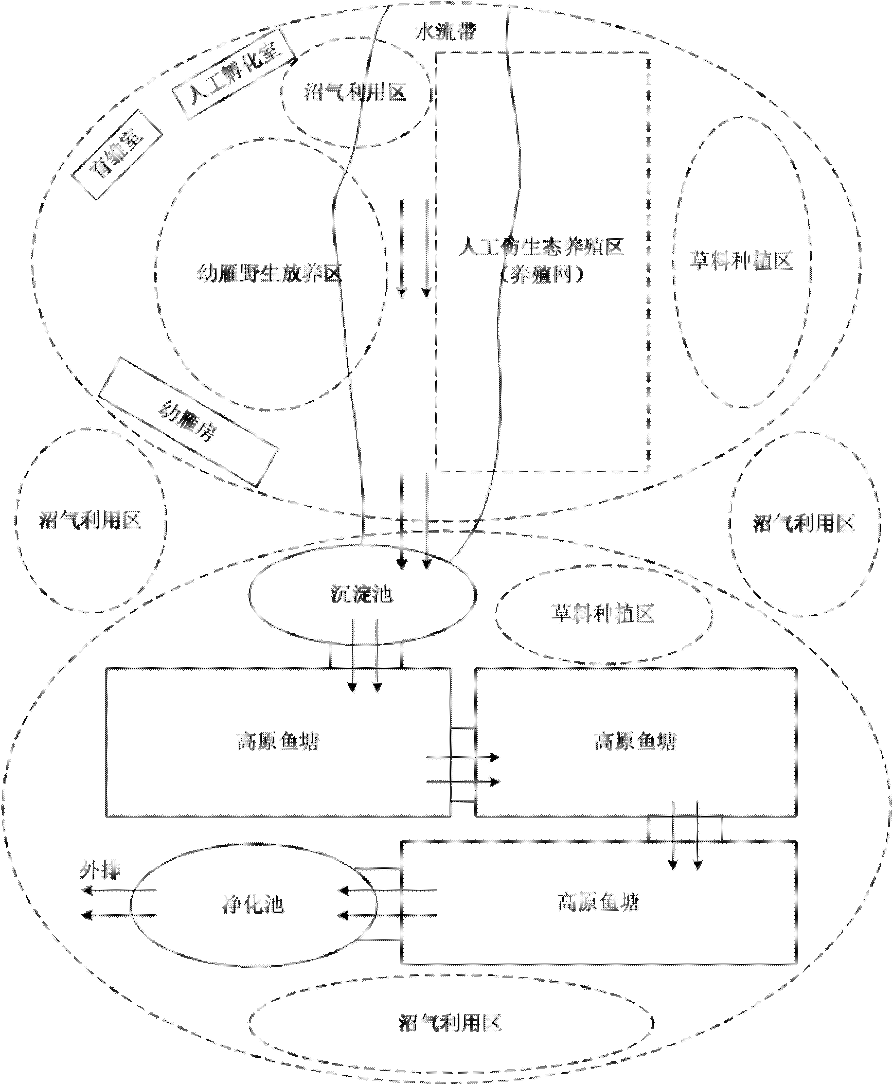 Method for hatching and breeding anser indicus