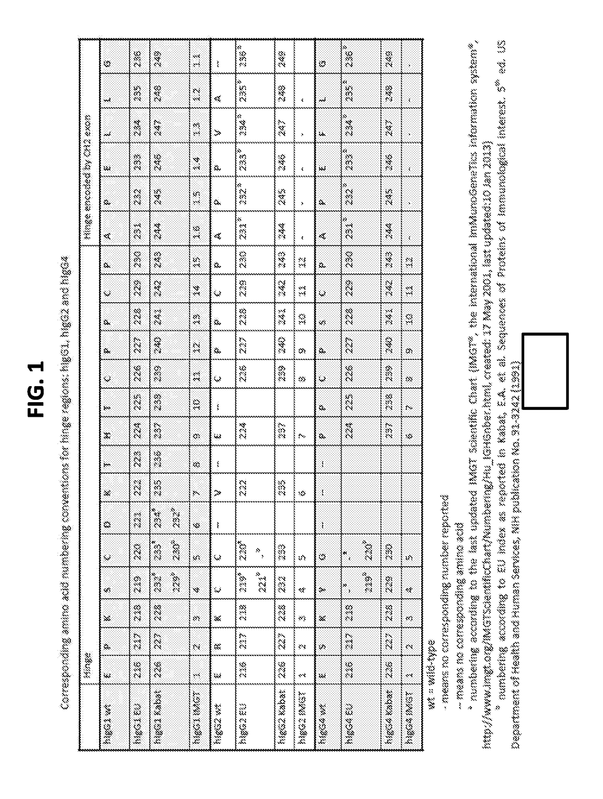 Heavy Chain Constant Regions with Reduced Binding to Fc Gamma Receptors