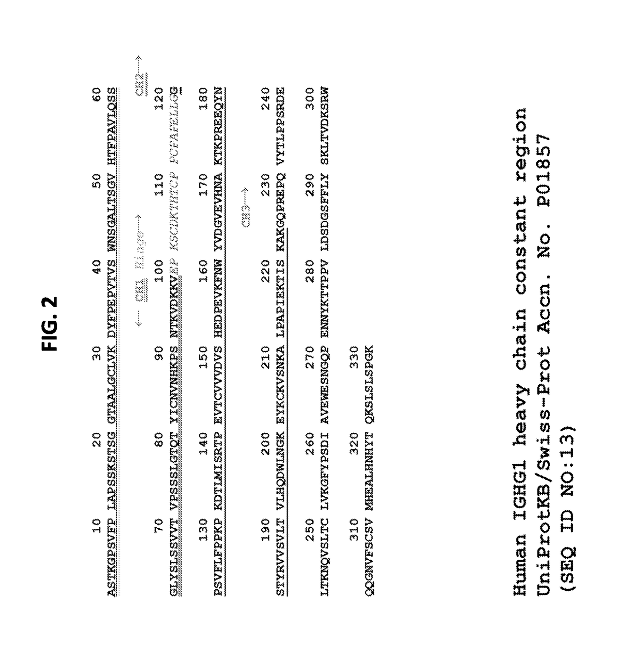 Heavy Chain Constant Regions with Reduced Binding to Fc Gamma Receptors