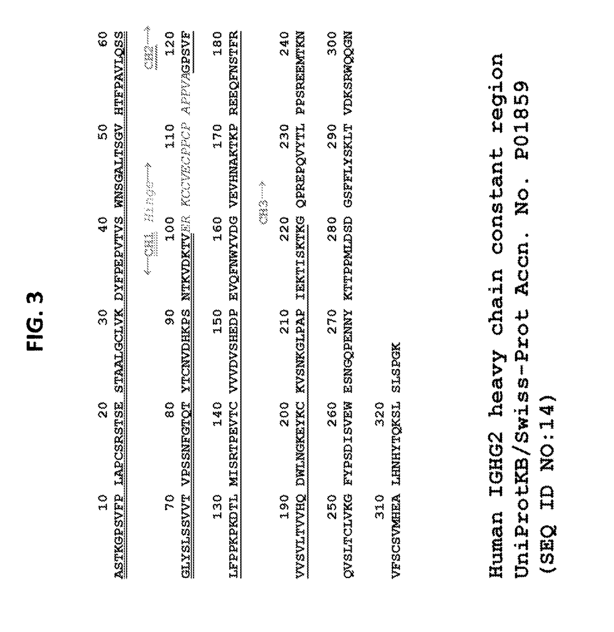 Heavy Chain Constant Regions with Reduced Binding to Fc Gamma Receptors