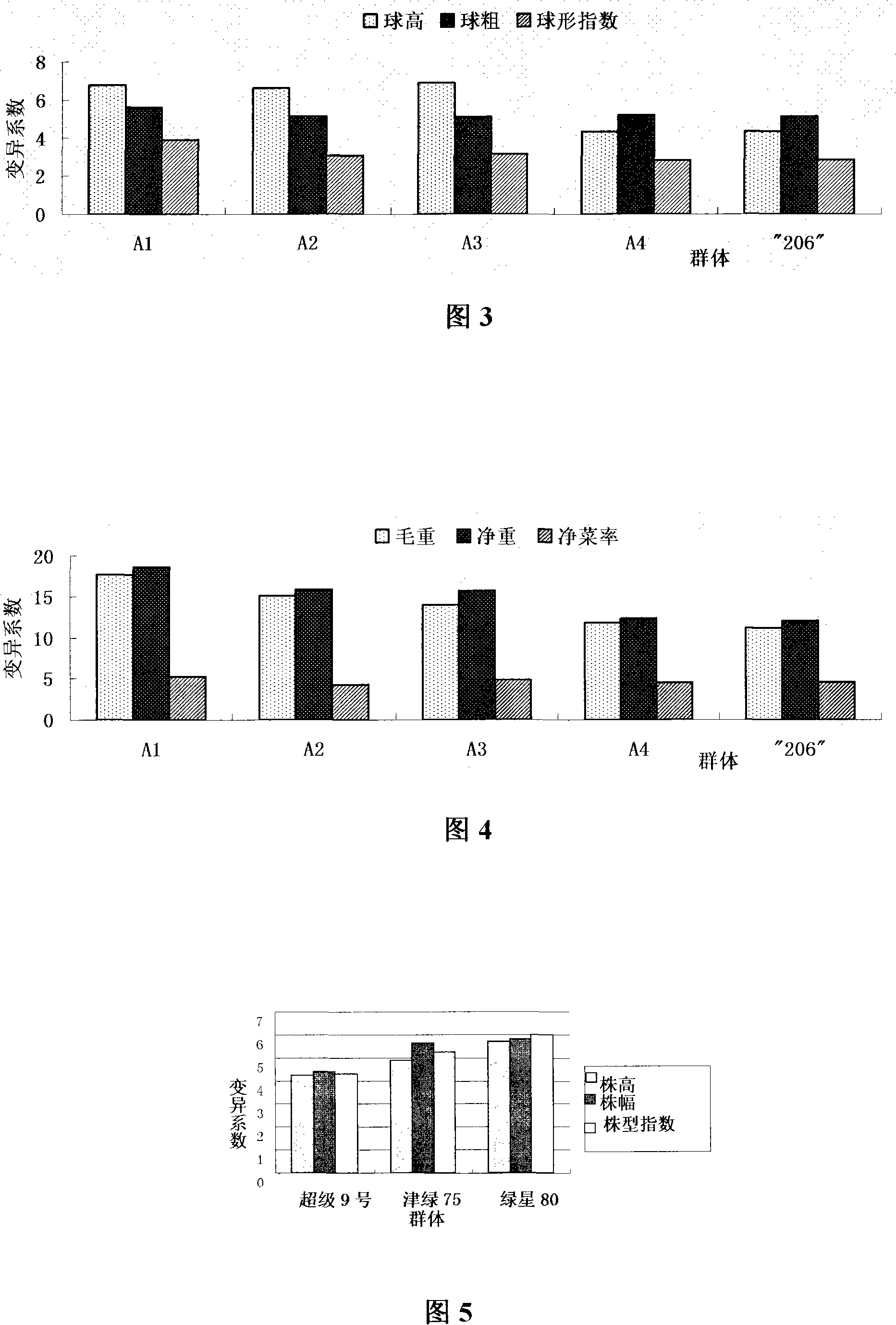 Method for producing a generation of hybridization seeds of Chinese cabbage by using multiple alleles gene male sterility line