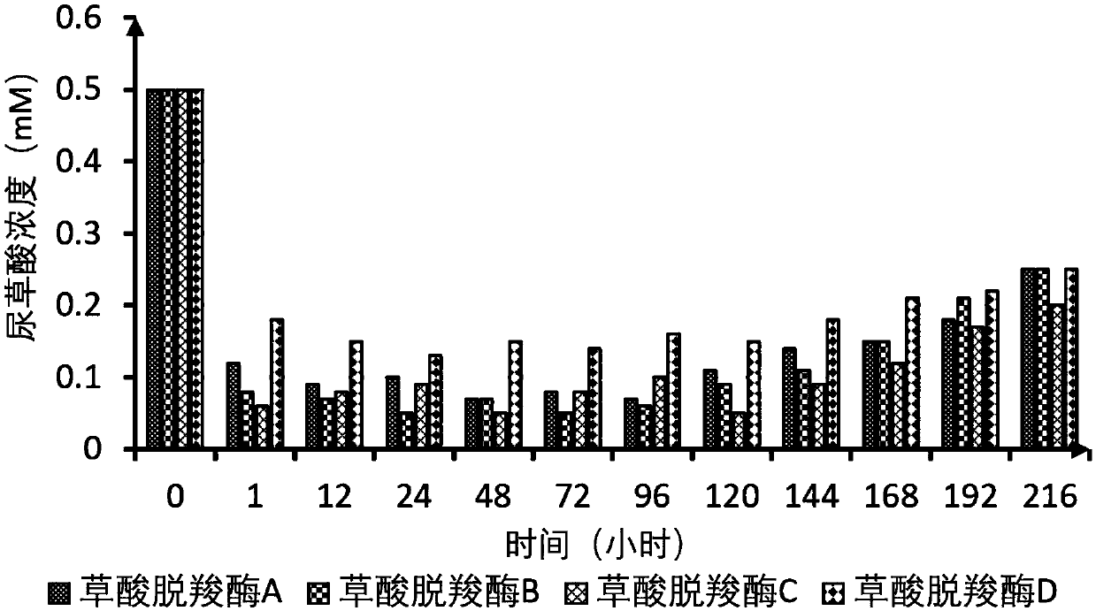 Composition for inhibiting or dissolving calcium oxalate stones as well as preparation method and application of composition