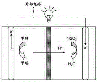 Microbial fuel reactor and battery applying same