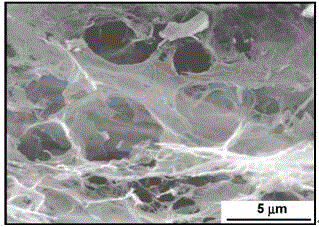 Microbial fuel reactor and battery applying same