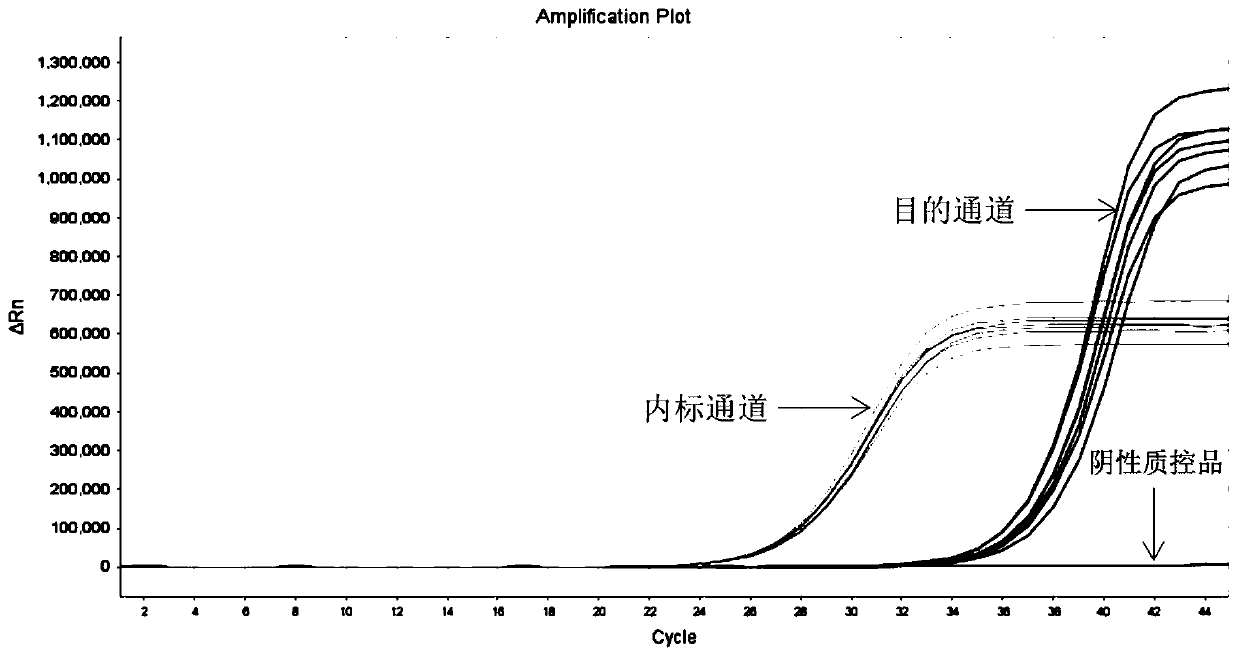 Kit and method for multiple detection of ALK gene mutation