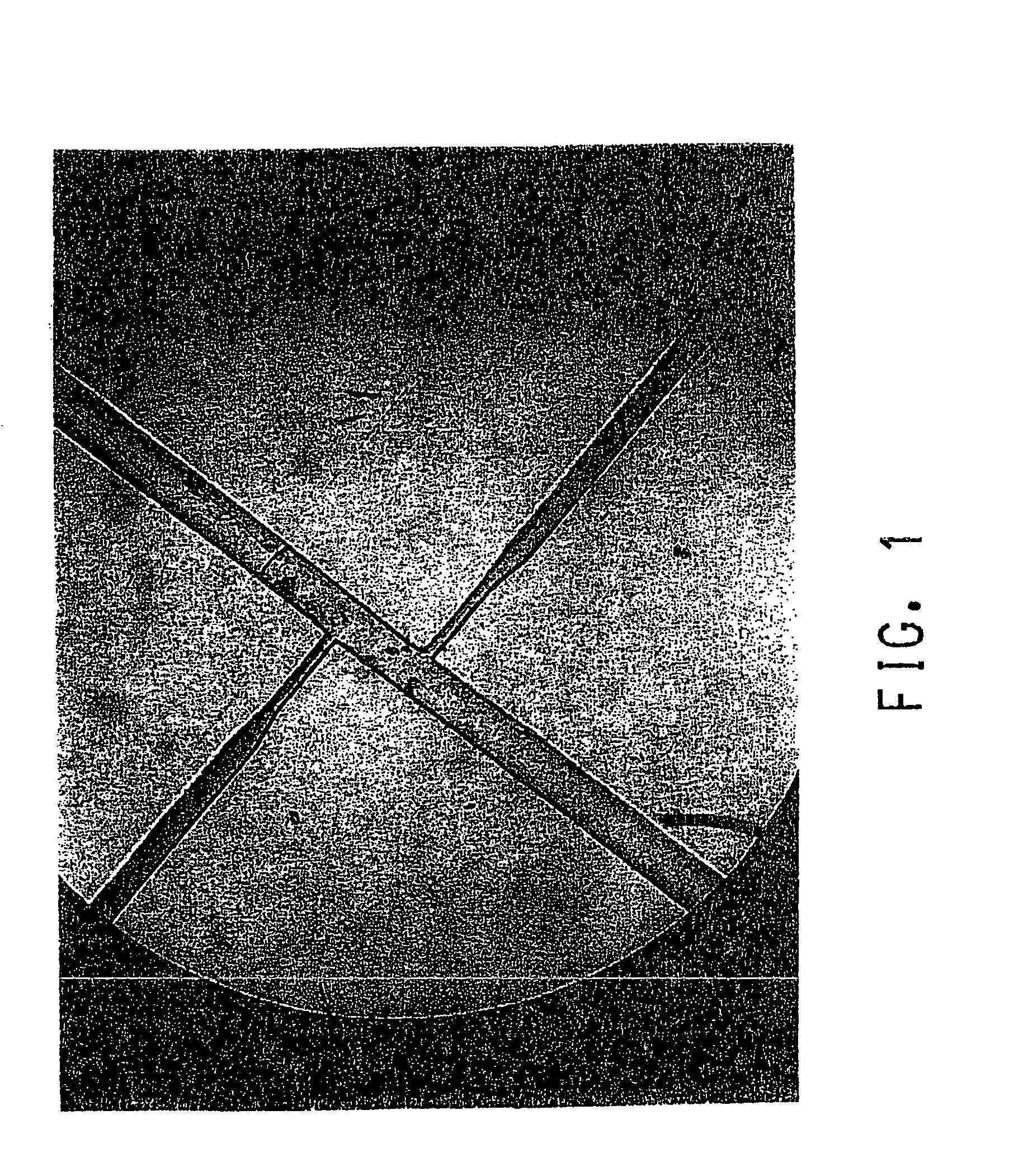 Polymeric microfabricated fluidic device suitable for ultraviolet detection