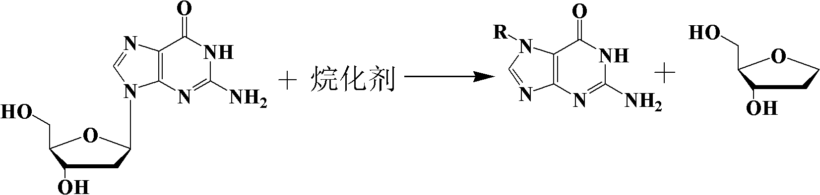 The preparation method of n7-guanine alkylate