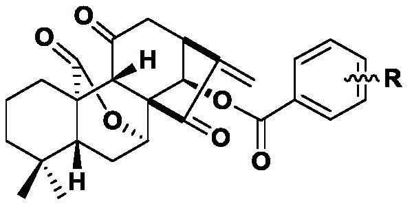 11,20-Dicarbonyl Jiyuan Rubescensin A 14-O-benzoate derivative and its preparation method and use