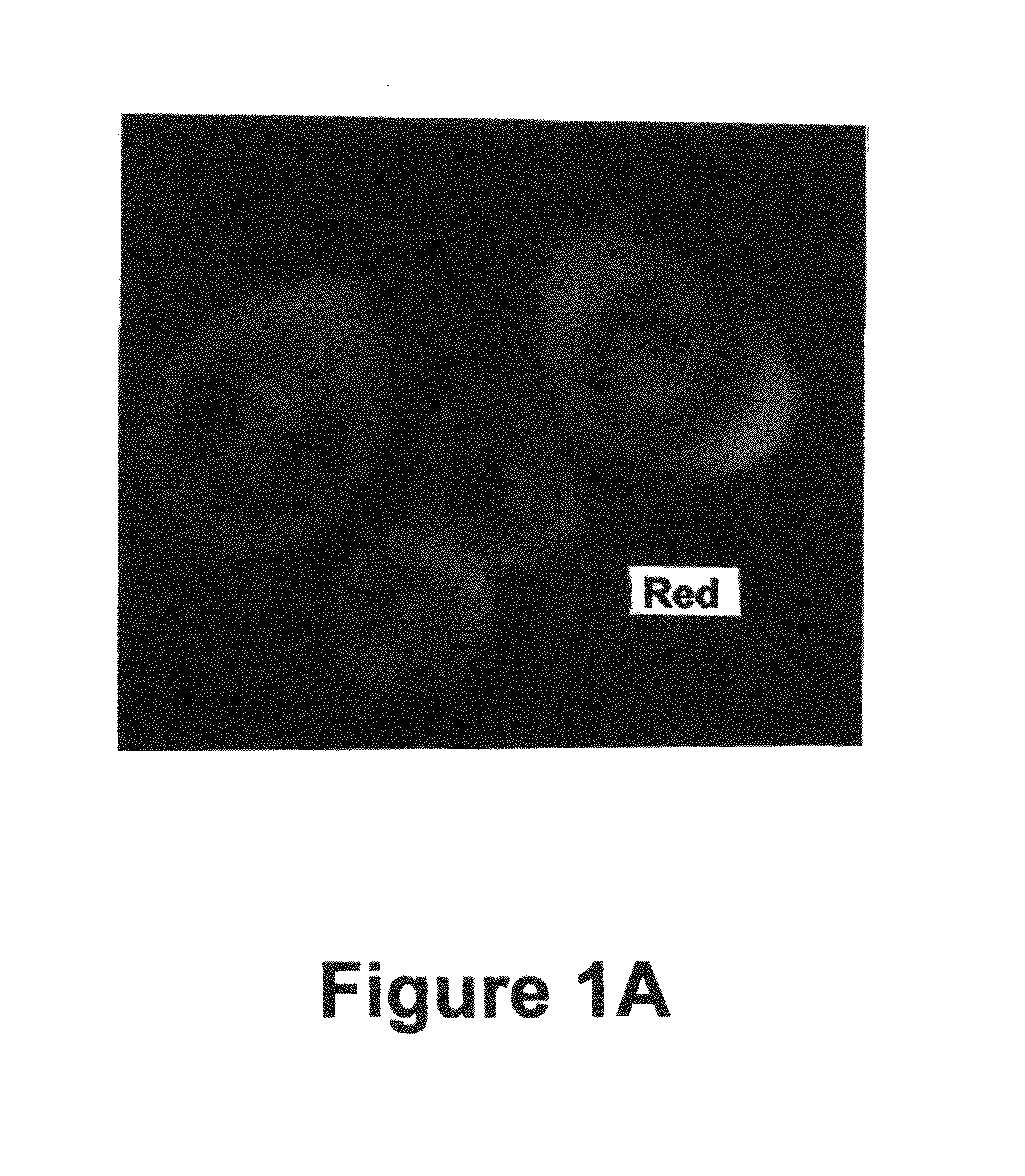 Methods for treating breast cancer using nrif3 related molecules