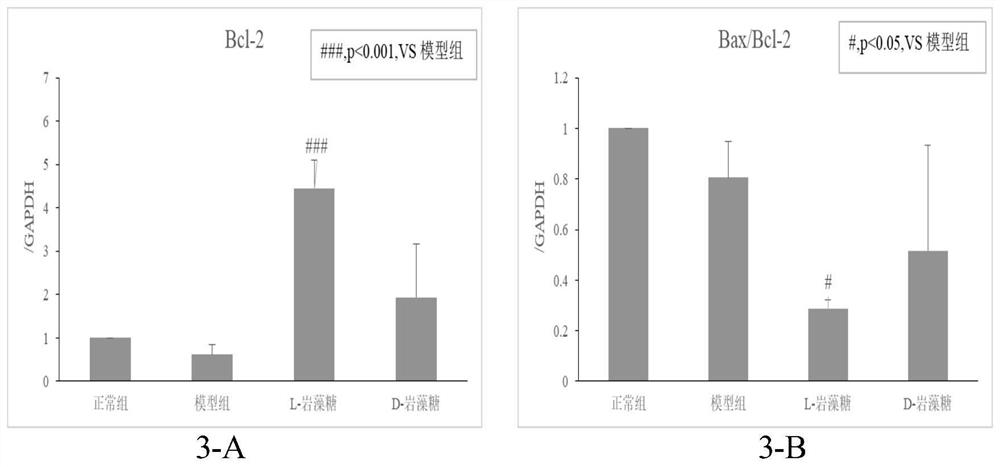 Novel application of L-fucose