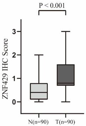 Gastric cancer thermo-chemotherapy sensitive marker and application thereof