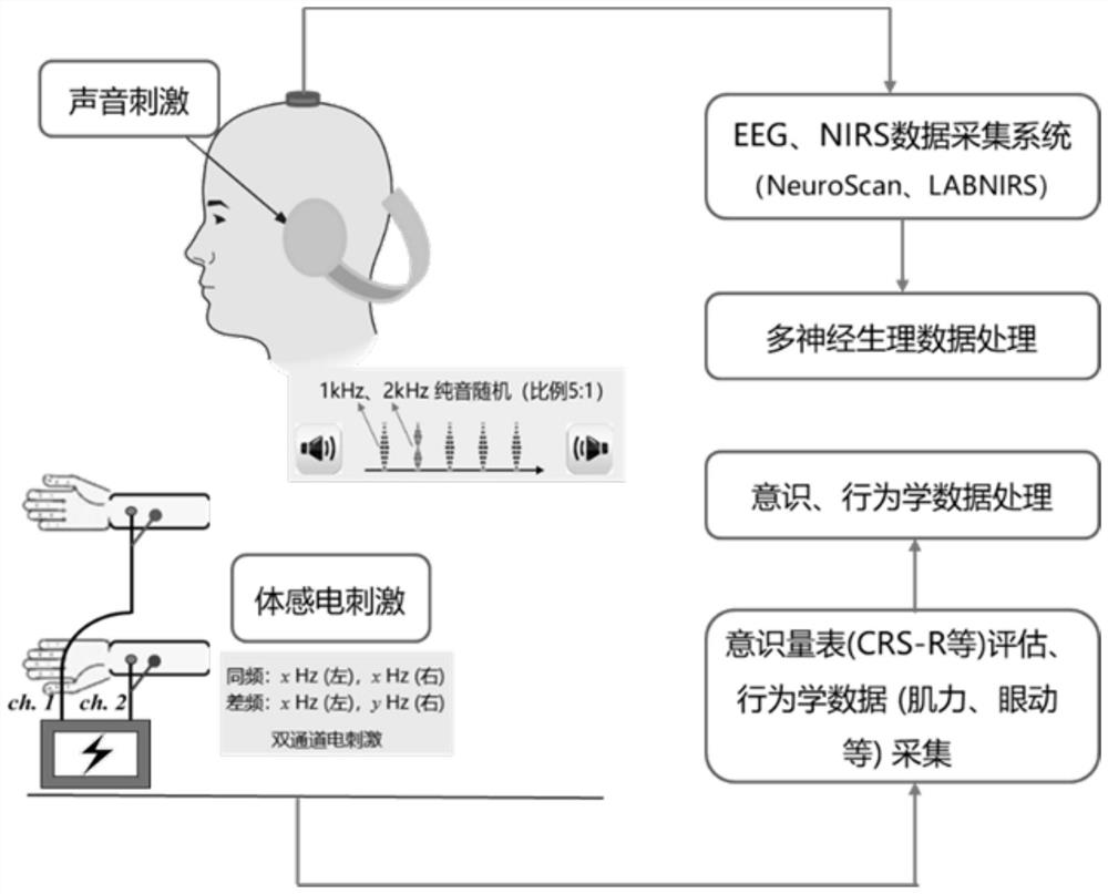 Consciousness detection device for multi-sensory brain-body joint stimulations