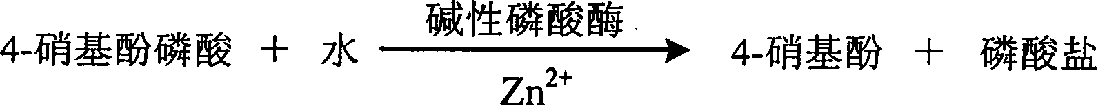 Process for determining content of zinc ion by enzyme method and kit for diagnosing zine ion thereof