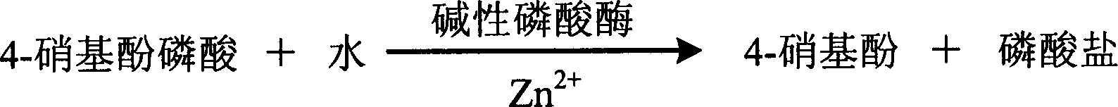 Process for determining content of zinc ion by enzyme method and kit for diagnosing zine ion thereof