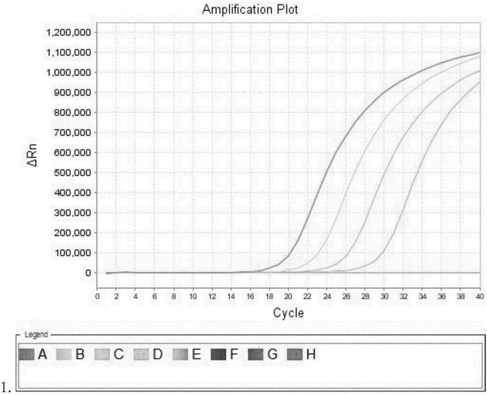 BCR-ABL fusion gene amplification kit and BCR-ABL fusion gene detection kit