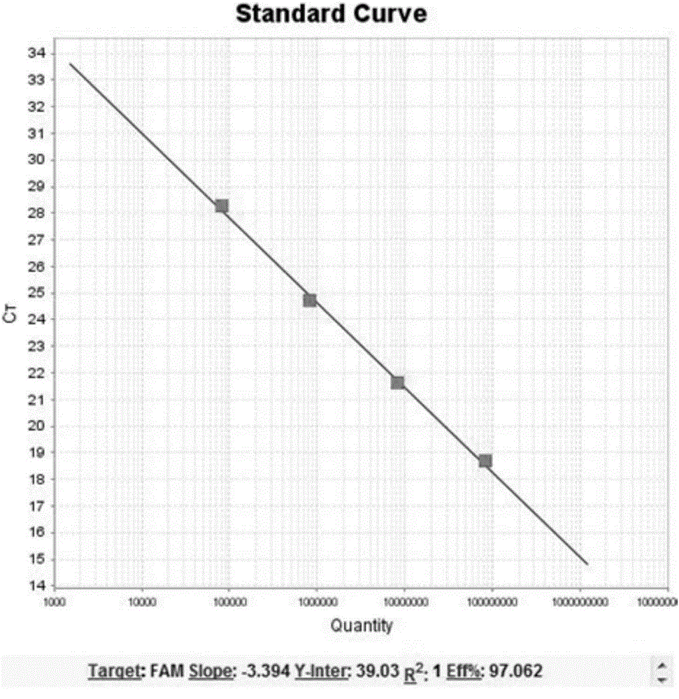 BCR-ABL fusion gene amplification kit and BCR-ABL fusion gene detection kit