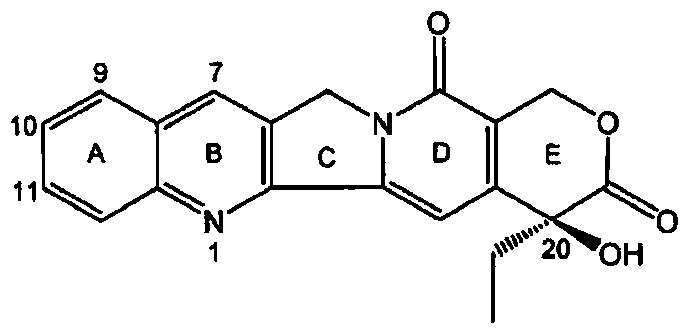 Multi-branched polymeric prodrugs and their applications