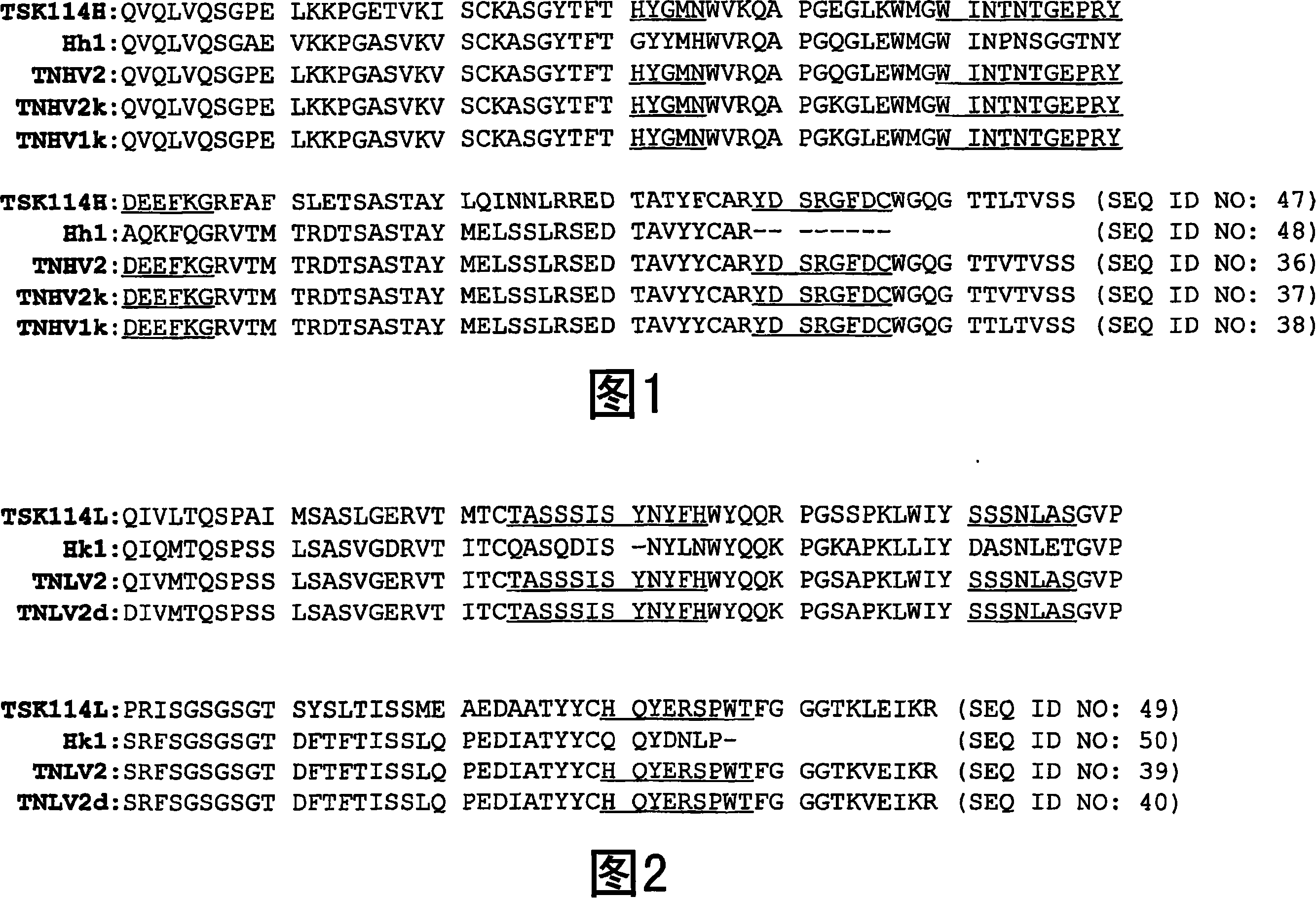 Humanized antibody specific for tumor necrosis factor-alpha