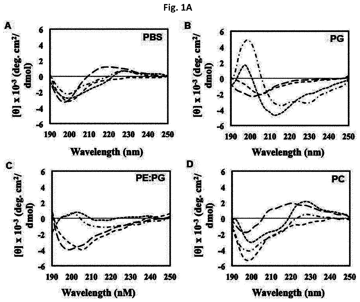 Novel antimicrobial peptide derived from myxinidin peptide and uses thereof