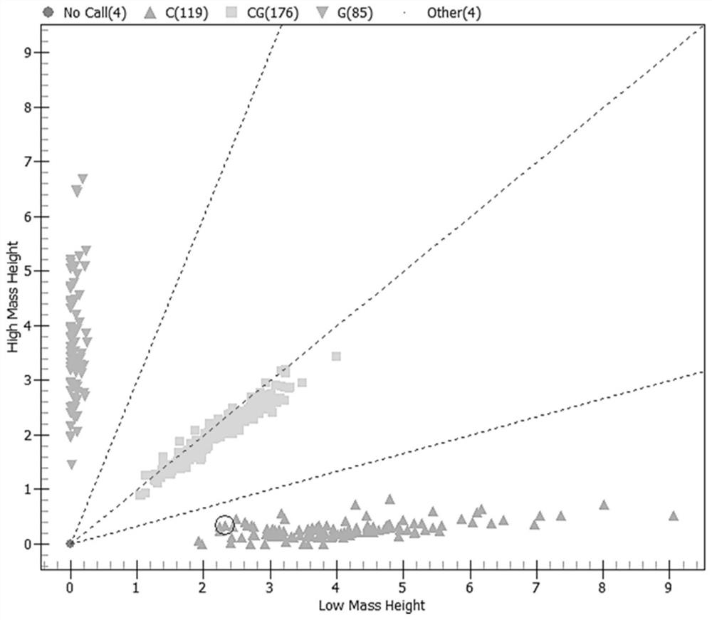 Special primer for simultaneously and accurately detecting SNP loci of related genes of 'slap-induced deafness' and ' injection-induced deafness'