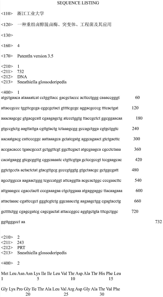 Recombinant halohydrin dehalogenase, and mutant and engineering strain and applications thereof