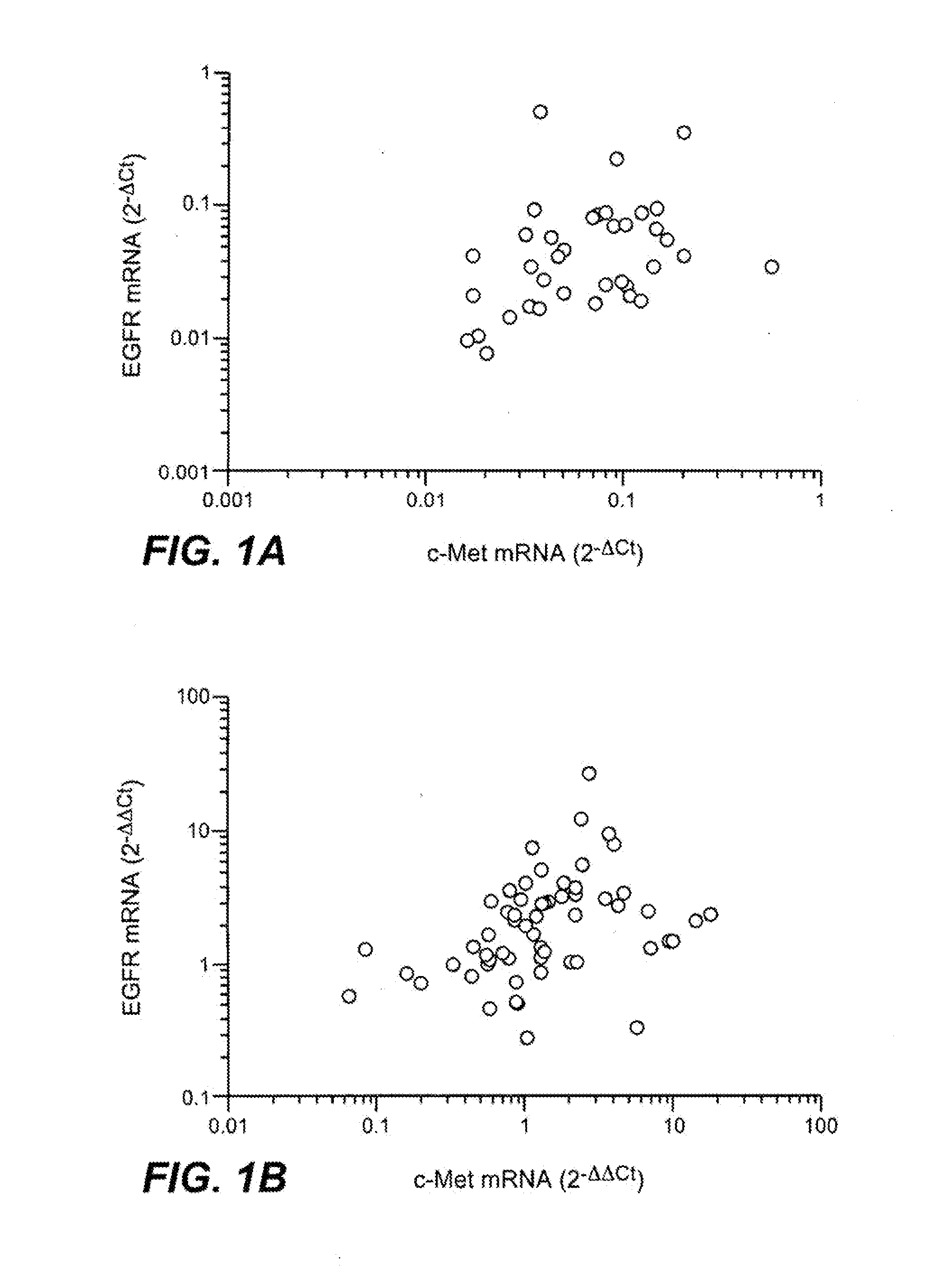 Combination therapy with c-met and EGFR antagonists