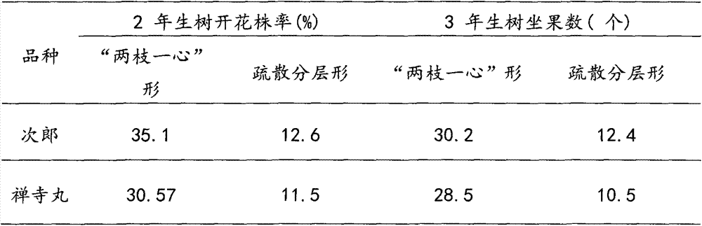 Reshaping trimming method for high-illumination-efficiency shape of close-planting persimmon tree