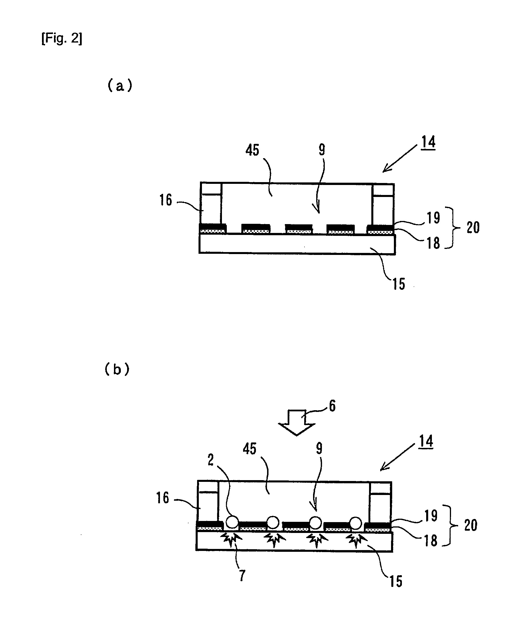 Structure for particle immobilization and apparatus for particle analysis