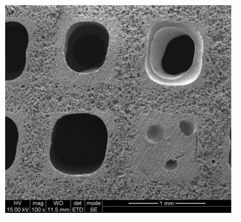 Preparation method and application of hierarchical porous bioactive ceramic