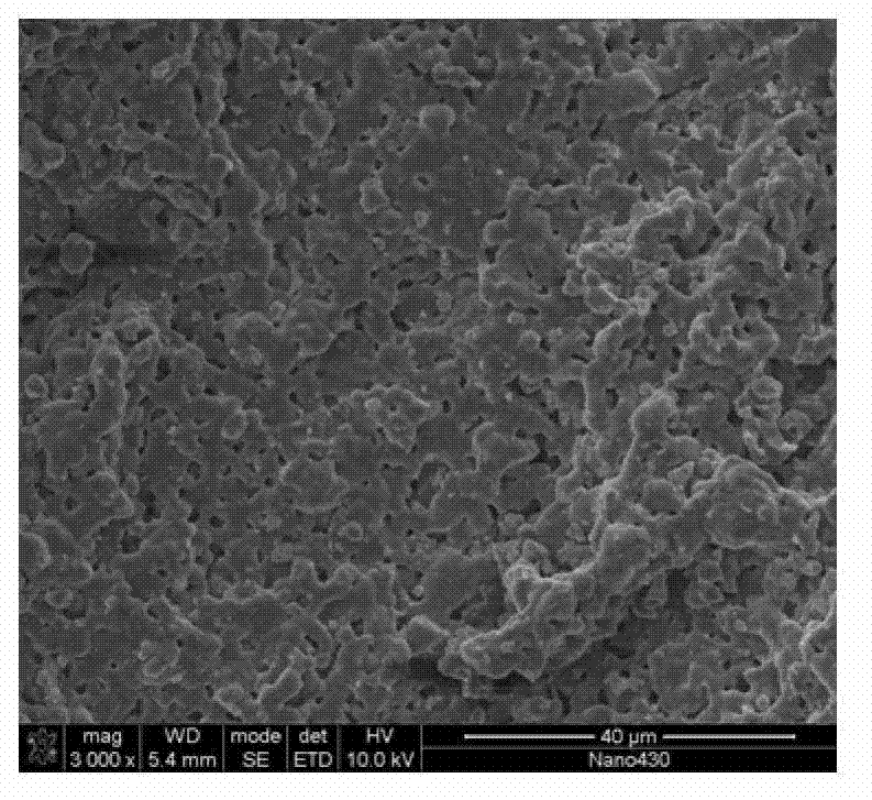 Preparation method and application of hierarchical porous bioactive ceramic